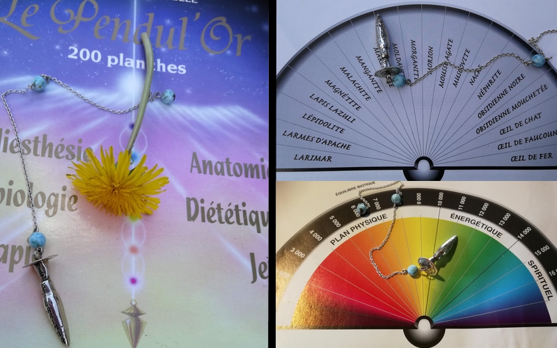 Livre de planche : le pendule d'or